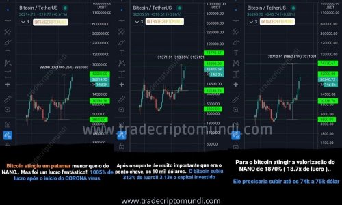 Dica do dia - Olha a diferença de lucros entre altcoins e bitcoin - Trade Cripto Mundi